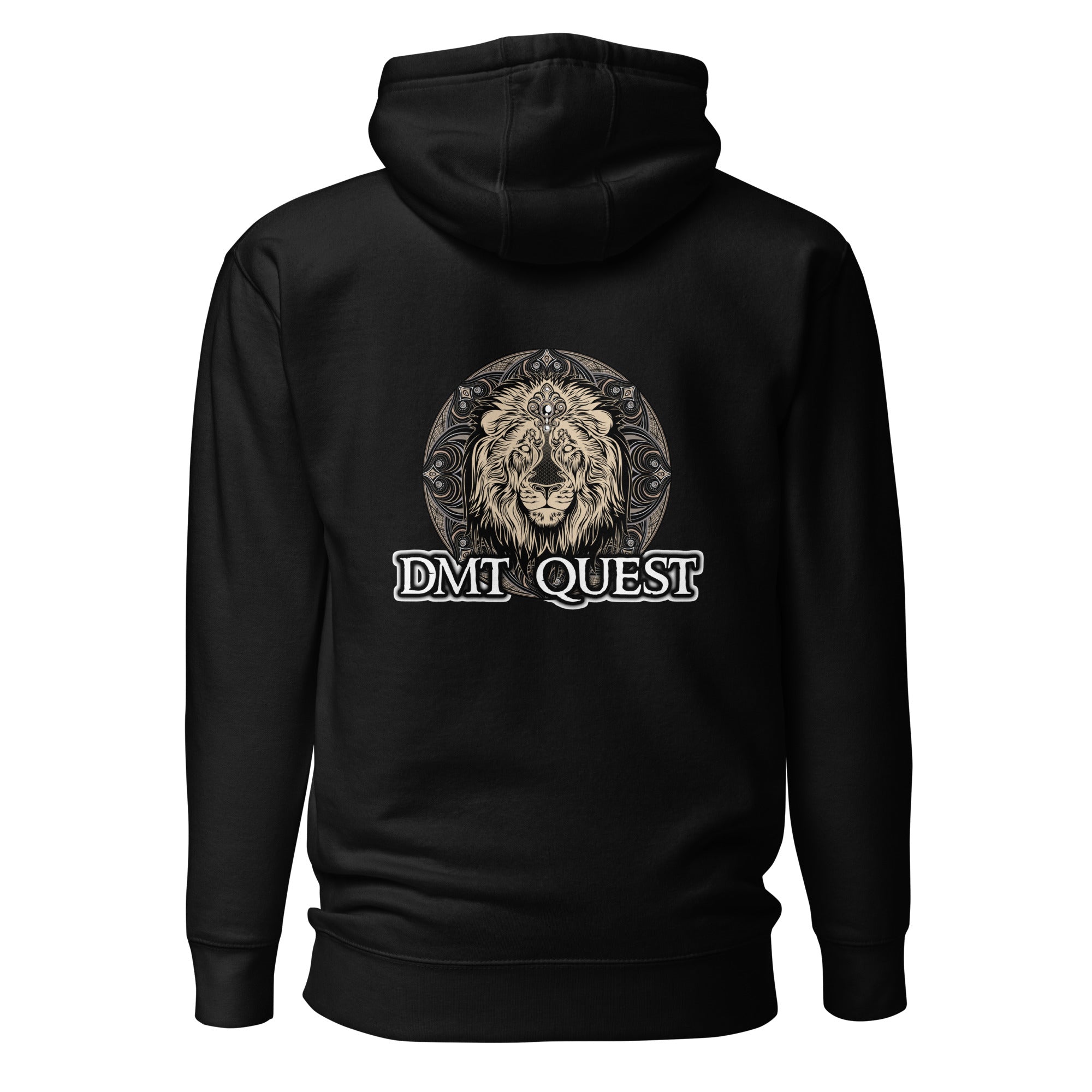 Unisex Hoodie from the DMT Quest store